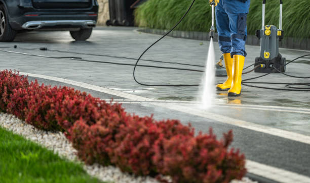 Best Building Exterior Pressure Washing in Fox Lake, WI